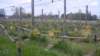 2012 HWK 041_small.jpg